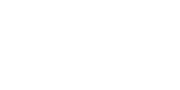 NES